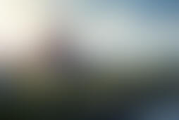 Фотографія квест-анімації Stalker від компанії Динаміт (Фото 1)
